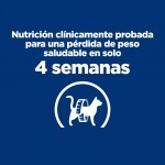 Hills Prescription Diet-PD Feline r/d (1)