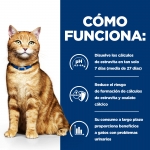 Pack de latas Hills c/d. 156 gr. para gato con problemas urinarios