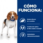 Hills Prescription Diet-PD Canine r/d. (1)
