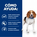 Hills Prescription Diet-PD Canine r/d. (1)