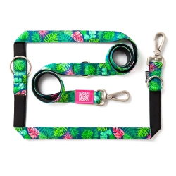 Correa multi para perros Max&Molly TROPICAL