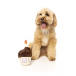 Peluche para perros FuzzYard Birthday Cupcake
