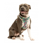 Arnés para perros FuzzYard Dinosaur