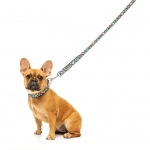Correa para perros FuzzYard Dinosaur Land