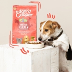Pienso para perros mayores Edgard & Cooper con pollo fresco y salmón