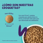 Pienso para gatos adultos Edgard & Cooper con pollo fresco