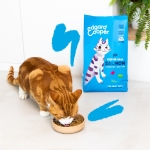 Pienso para gatos adultos Edgard & Cooper con salmón