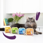 Pack de comida húmeda para gatos Edgard & Cooper con pavo y pollo