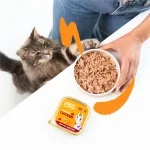 Pack de comida húmeda para gatos Edgard & Cooper con pollo