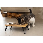 Comederos para gato Designed By Lotte Linga