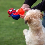 For Fan Pets Pelota para perros Spiderman