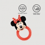 For Fan Pets Mordedor para perros Minnie
