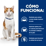 Hills Prescription diet On Care pienso para gatos