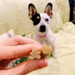 Whimzees Value Snack Dental XS/S Para Cachorros de Razas Pequeñas