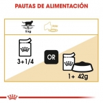 Royal Canin British Shorthair Pouch comida húmeda para gatos