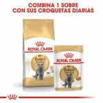 Royal Canin British Shorthair Pouch comida húmeda para gatos