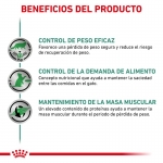 Royal Canin Veterinary Satiety Pouch pack de comida húmeda para gatos
