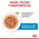 Royal Canin Medium Puppy Comida Húmeda para cachorros medianos