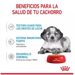 Royal Canin Medium Puppy Comida Húmeda para cachorros medianos