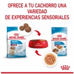 Royal Canin Medium Puppy Comida Húmeda para cachorros medianos