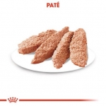Royal Canin Exigent Pouch Comida Húmeda para Perros