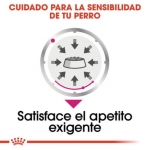 Royal Canin Exigent Pouch Comida Húmeda para Perros