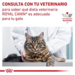 Royal Canin Veterinary Diets Cat Urinary S/O Loaf Pack de Comida Húmeda para gatos de Pollo