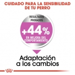 Royal Canin Relax Care pienso para perros minis