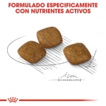 Royal Canin Relax Care pienso para perros minis