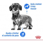 Royal Canin X-Small Light Weight Care pienso para perros minis