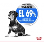 Royal Canin X-Small Light Weight Care pienso para perros minis