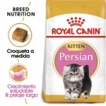 Royal Canin Kitten Persian Pienso para Gatitos