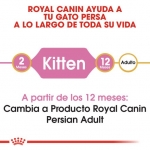 Royal Canin Kitten Persian Pienso para Gatitos