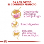 Royal Canin Kitten Persian Pienso para Gatitos