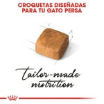Royal Canin Kitten Persian Pienso para Gatitos