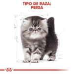 Royal Canin Kitten Persian Pienso para Gatitos