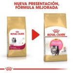 Royal Canin Kitten Persian Pienso para Gatitos