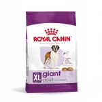 Giant Adulto Razas Gigantes (6)