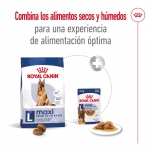 Royal Canin-Maxi Adulto +5 Años Razas Grandes (1)