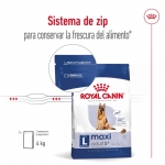 Royal Canin-Maxi Adulto +5 Años Razas Grandes (1)
