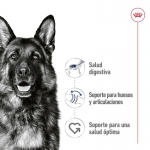 Royal Canin Maxi pack de sobres para perros adultos
