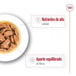 Royal Canin Maxi pack de sobres para perros adultos