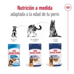 Royal Canin Maxi pack de sobres para perros adultos