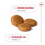 Royal Canin-Medium Adulto Razas Medianas (1)