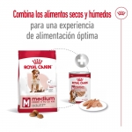 Royal Canin-Medium Adult +7 Años Razas Medianas (1)