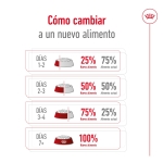 Royal Canin-Medium Adult +7 Años Razas Medianas (1)