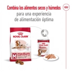 Medium Ageing +10 Años Razas Medianas (1)