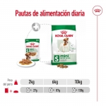 Royal Canin-Mini Adult (Sobre) (1)
