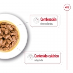 Royal Canin Mini Ageing +12 Comida Húmeda Para Perros De Edad Avanzada De Razas Pequeñas