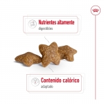 Royal Canin-Mini Adult (1)